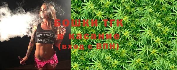 прущие грибы Алзамай