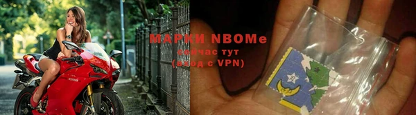 хмурый Алексин