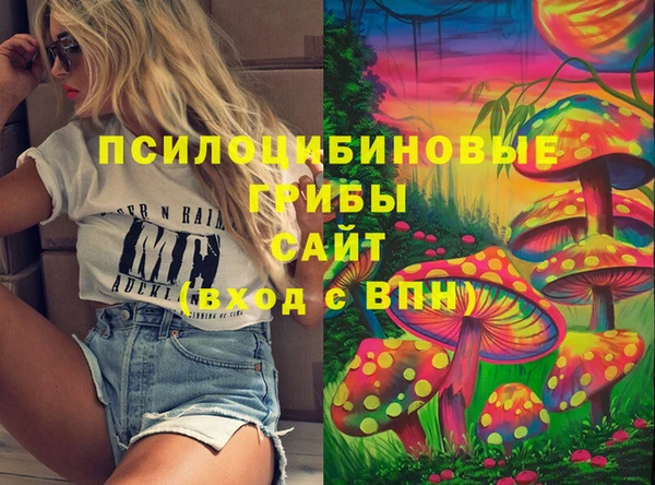 прущие грибы Алзамай