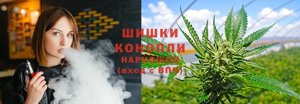 PSILOCYBIN Белая Холуница