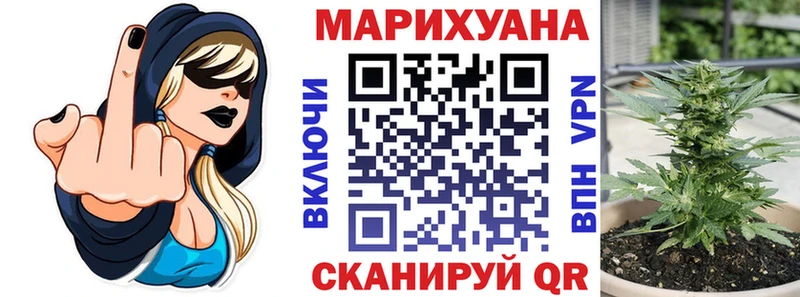 МАРИХУАНА конопля  наркота  Ясный 